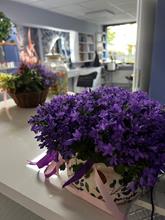 salon kosmetyczno-fryzjerski